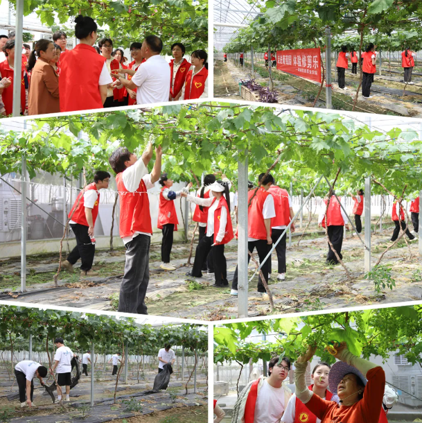 1715175116441089649.png 微信截图_20240508213051.png